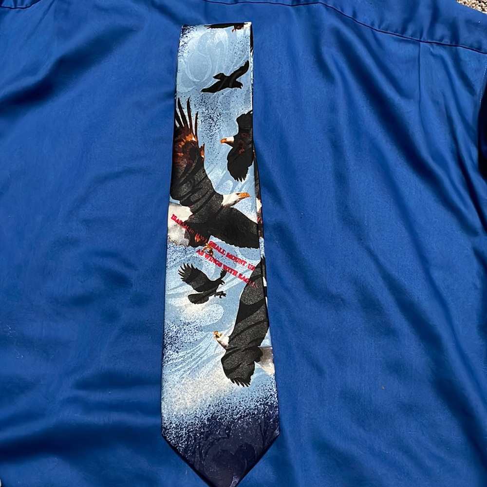 Steven Harris Men's Eagle Neck Tie Bald Eagles Birds In Flight Red‎ White Blue